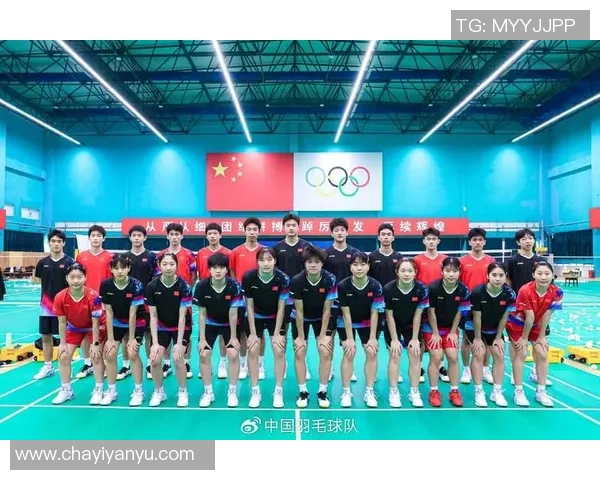 重庆羽毛球队与武汉羽毛球队赛后分析及比赛节奏深度解读