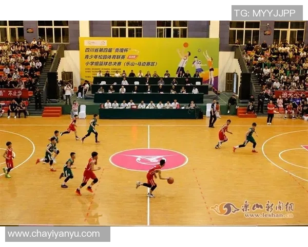 张静篮球生涯回顾与展望对话分享运动精神与成长故事